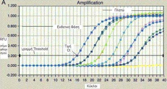 3.9.1. Καμπύλη ενίσχυσης - Τhreshold - Tιμή Ct Το διάγραμμα της καμπύλης ενίσχυσης παρουσιάζει τη συσσώρευση του προϊόντος (amplicon) κατά τη διάρκεια της Real-Time PCR.
