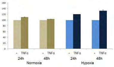Τέλος, μελετήθηκε η επίδραση του TNFα στη βιωσιμότητα και τον πολλαπλασιασμό των κυττάρων Η1299 σε συνθήκες νορμοξίας και υποξίας.