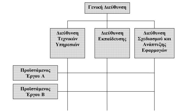 Δομή πλεγματικού τύπου Η δομή Πλεγματικού Τύπου αποτελεί ένα εναλλακτικό πρότυπο δομικής διάρθρωσης, τόσο σε σχέση με την οργανωτική δομή που βασίζεται στο κριτήριο του σκοπού όσο και σε αυτήν που