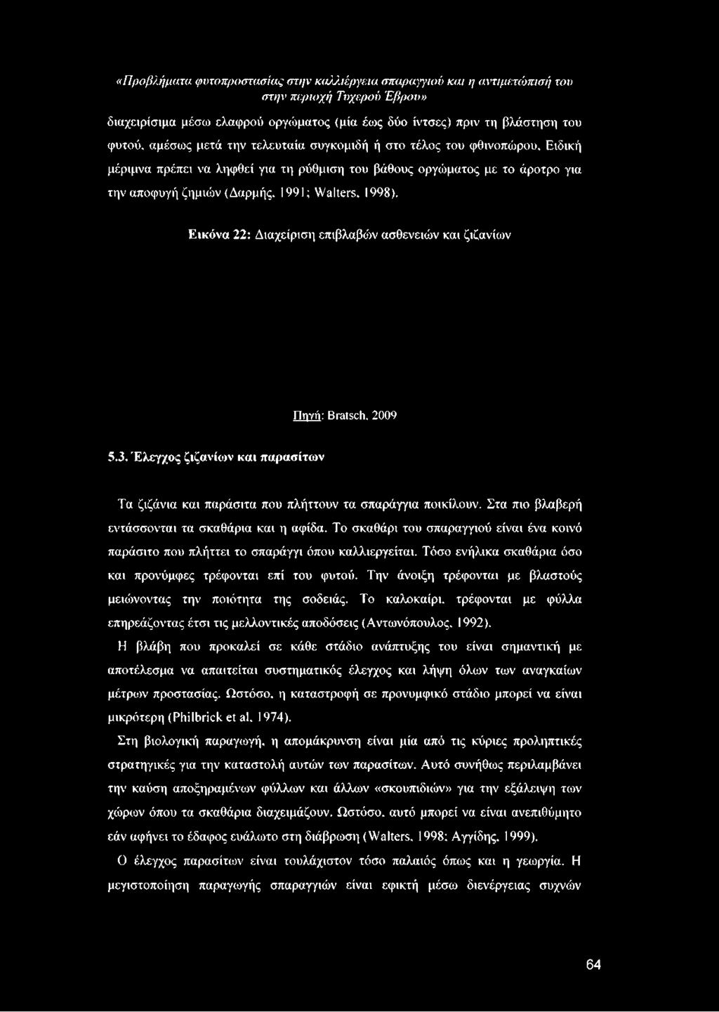 Έλεγχος ζιζανίων και παρασίτων Τα ζιζάνια και παράσιτα που πλήττουν τα σπαράγγια ποικίλουν. Στα πιο βλαβερή εντάσσονται τα σκαθάρια και η αφίδα.