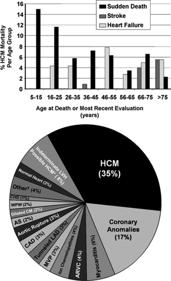 Figure 1. Contemporary Insights and Strategies for Risk Stratification and Prevention of Sudden Death in Hypertrophic Cardiomyopathy. Maron, Barry Circulation. 121(3):445-456, January 26, 2010.