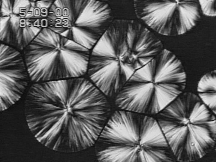 a polypropylene (PP) at 140 C