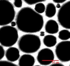 Οπτική Μικροσκοπία Κλασσική Οπτική Μικροσκοπία: Μπορούμε να δούμε σωματίδια ή δομές με R > 500nm Υπάρχουν τεχνικές που αυξάνουν την οπτική αντίθεση μεταξύ διαφορετικών δομικών στοιχείων. Πχ.