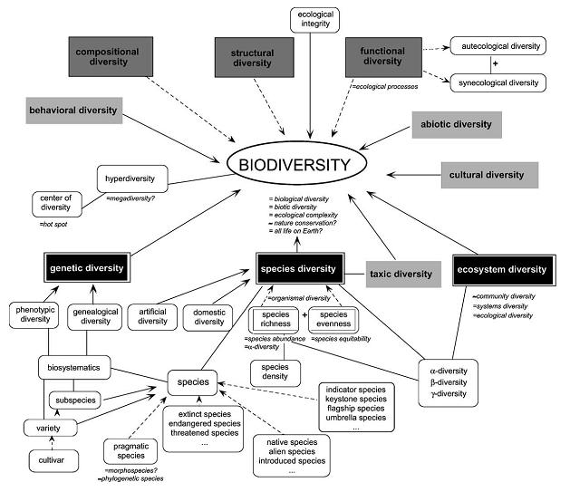 Διάγραμμα 3.1 Πολυπλοκότητα των διαφόρων πτυχών της βιοποικιλότητας.
