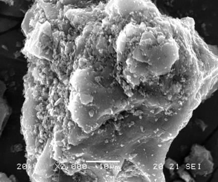 (10μm) AC
