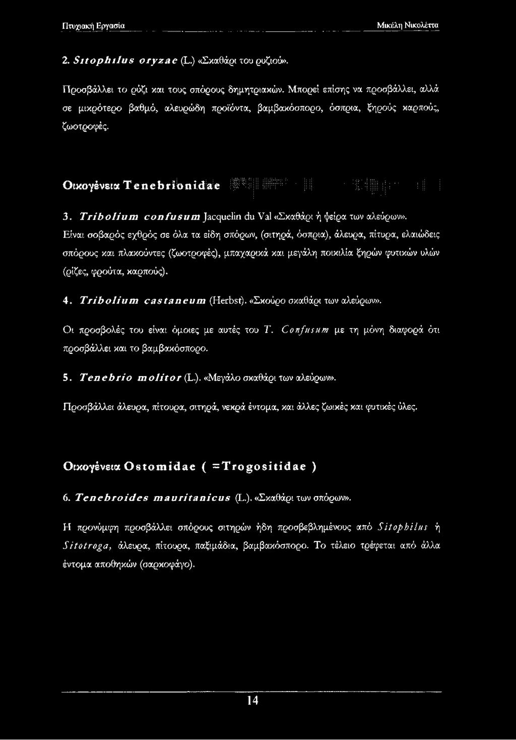 Tribolium confusum Jacquelin du Val «Σκαθάρι ή ψείρα των αλεύρων».