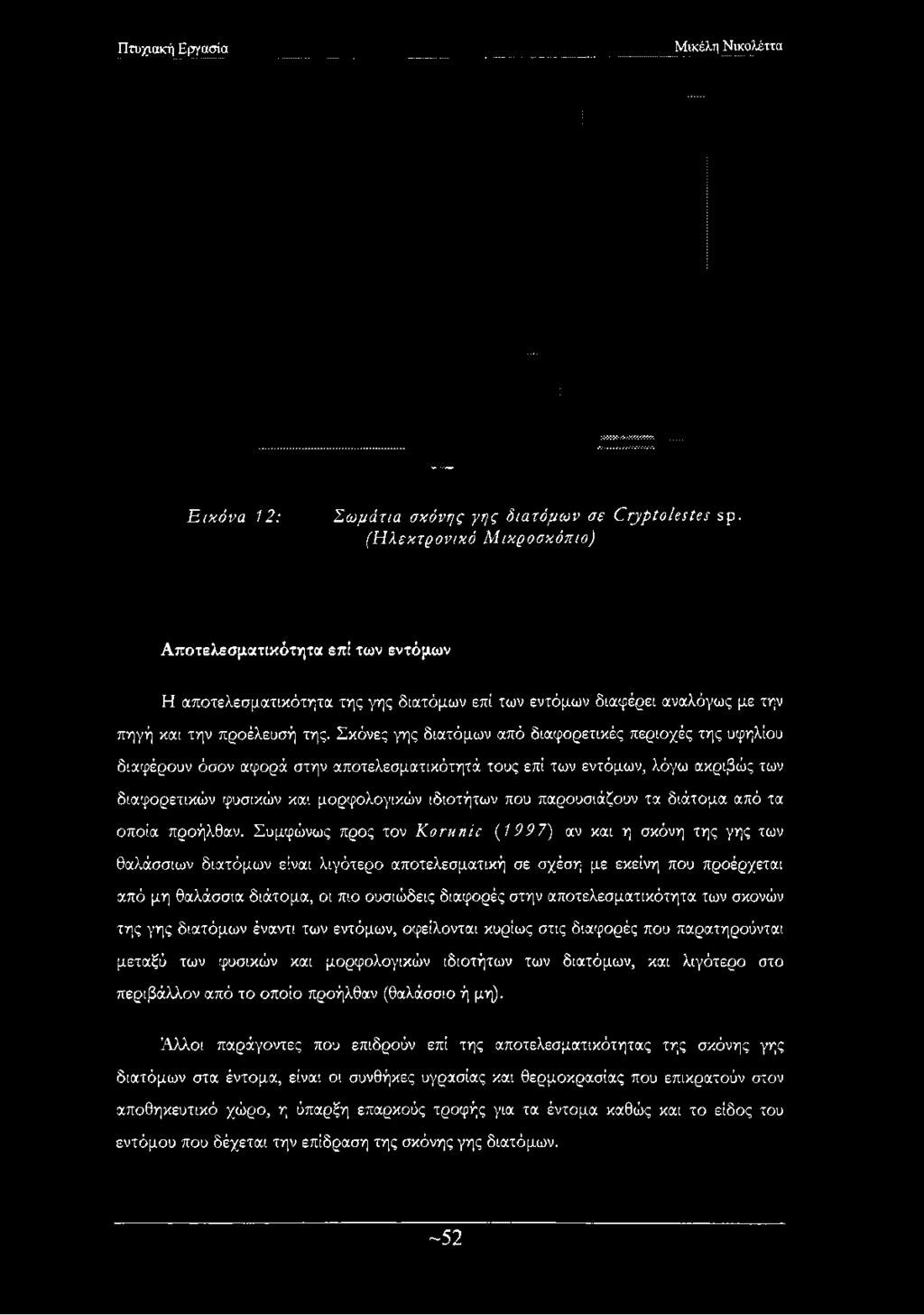 Εικόνα 12: Σωμάτια σκόνης γης διατόμων σε ΕτμρΐοΙβ$ίβ$ 5ρ.