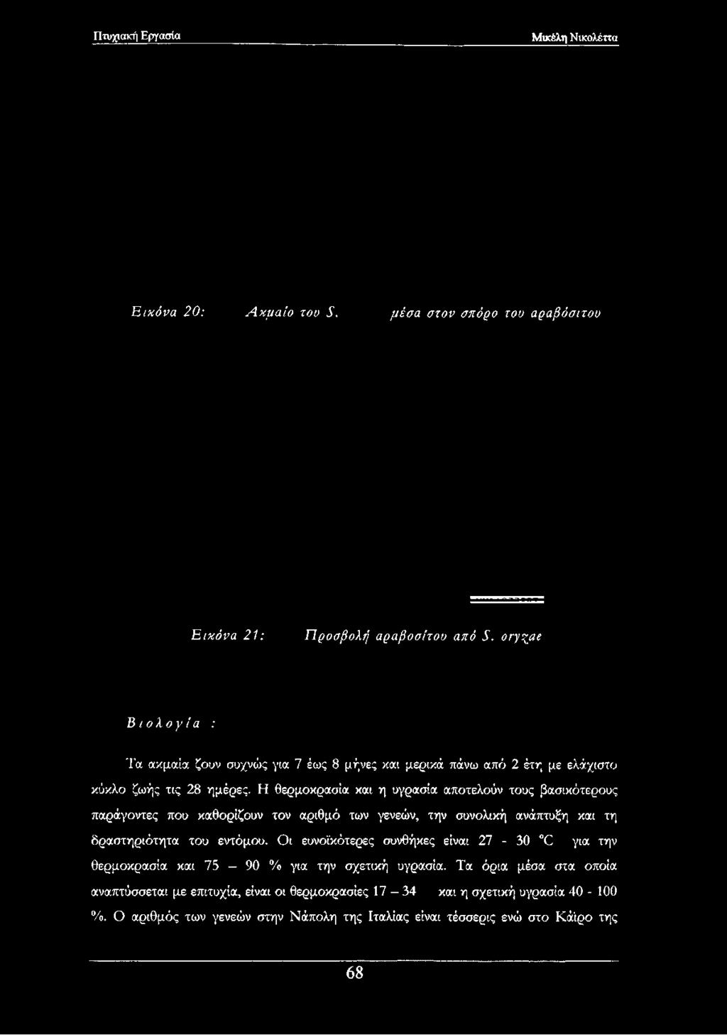 ΟΓ/^αβ Βιολογία : Τα ακμαία ζουν συχνώς για 7 έως 8 μήνες και μερικά πάνω από 2