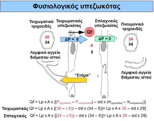 συνδυασμό με άλλα νοσήματα, που δρουν με κάποιον εκ των 3 προαναφερθέντων μηχανισμών, μπορεί να ελαττώσει τον ουδό συλλογής πλευριτικού υγρού δημιουργώντας μεγαλύτερες συλλογές.