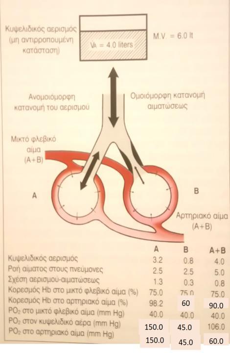 στους αεραγωγούς).