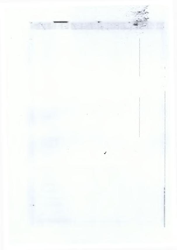 ί! Α/Α... ~ % Ίί : '.