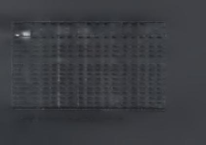 234 231 21 181 125 179 71 ΜΑΪΟΣ 1995 2300 1722 3620 2360 424 272 302 276 229 19 106 189 318 60 ΙΟΥΝΙΟΣ 2046 2080 1582 2153 2505 424 198 266 293 251 29 155 119 132 85 ΙΟΥΛΙΟΣ 3009 2428 1924 2223