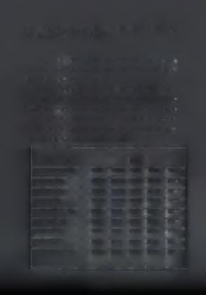 ΣΗΣ ΤΩΝ 