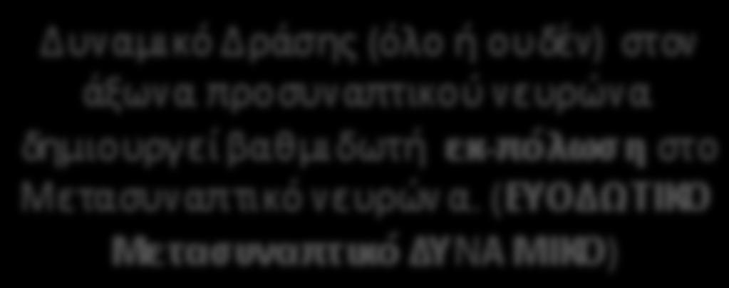 στον άξωνα προσυναπτικού νευρώνα δημιουργεί βαθμιδωτή εκ- πόλωση στο