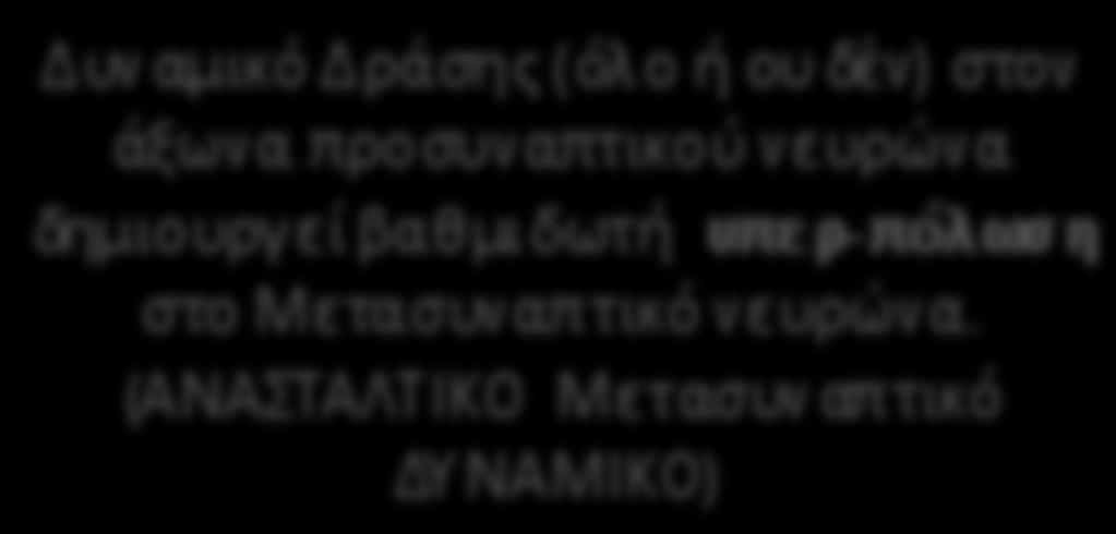 (ΕΥΟΔΩΤΙΚΟ Μετασυναπτικό ΔΥΝΑΜΙΚΟ) (Φαινόμενο άθροισης) Δυναμικό Δράσης (όλο