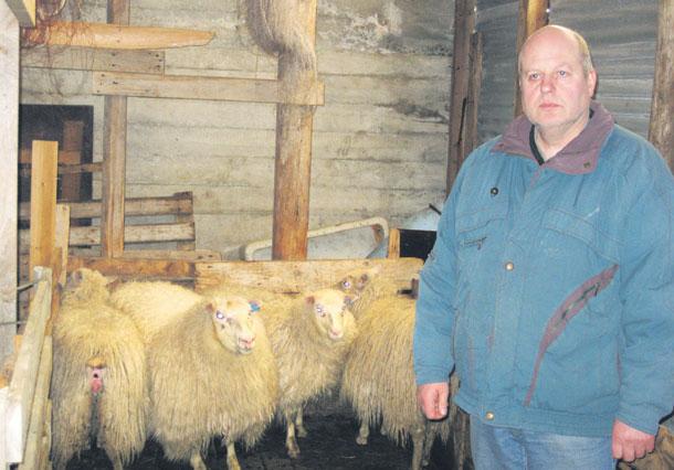 sumarvertíð í Borgundarhólmi, dönsku sólskinseyjunni í Eystrasalti. Þar er hann mjög vel kynntur og flaggað í ferðabæklingum við hlið þess athyglisverðasta sem þar er að finna á sumrin.