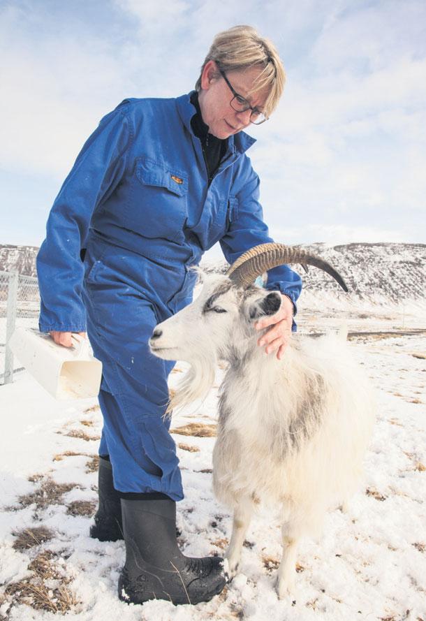 26 Bændablaðið Fimmtudagur 16.