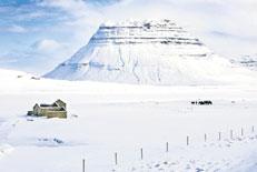 Á sumrin fara nemarnir í tvær lengri skoðunarferðir þar sem tilgangurinn er að kynna fyrir þeim þær áskoranir sem Íslendingar hafa þurft að takast á við og þau landgræðsluverkefni sem unnin eru hér á