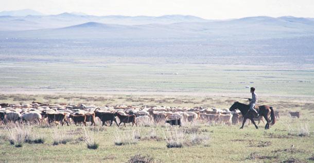 Til að bæta gráu ofan á svart var hernaðarástand um tíma í héraðinu sem ég starfa í og meðan á því stóð voru Aytenew Endeshaw Tatek er umhverfis- og auðlindafræðingur frá Eþíópíu og starfar hjá