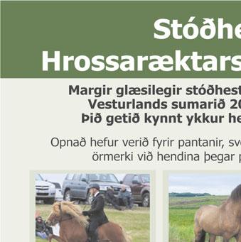 Léttfeti, Stígandi og Svaði.