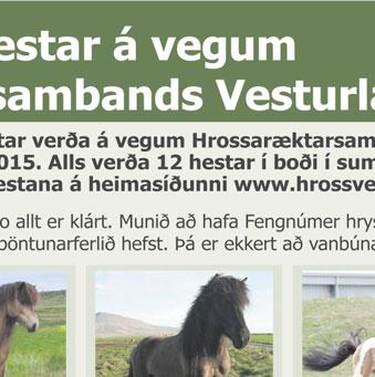 Sameiningarnefnd hefur undanfarið verið að störfum og hefur hún skilað skýrslu um málið.