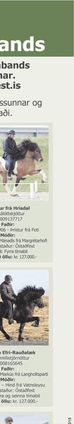 Gunnarsson og Ingimar Ingimarsson frá Stíganda og Guðjón Björgvinsson og Haraldur Þ. Jóhannsson frá Svaða.