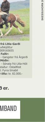 sé innan héraðs. Þá er bent á að samstarfsfletir hestamannafélaganna séu margir og starfið öflugast þegar félögin leggjast á eitt.