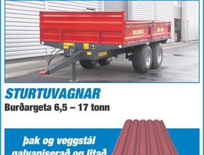 mikilvægi notkunar fjölnota burðarpoka í stað plastpoka.
