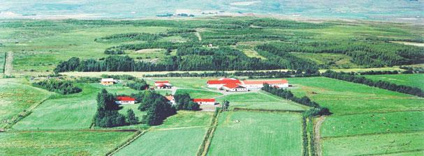 56 Bændablaðið Fimmtudagur 16. apríl 2015 Líf og lyst BÆRINN OKKAR Við hjónakornin erum bæði fædd og uppalin í Reykjavík en leiðir okkar lágu saman í Bændaskólanum á Hvanneyri.