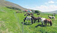 Vandaður og hentugur búnaður, fyrir sveitafélög og verktaka. Hákonarson ehf. Uppl. í síma 892-4163, hak@hak.is, www. hak.is Oddsstaðir 2 Lundarreykjadal.