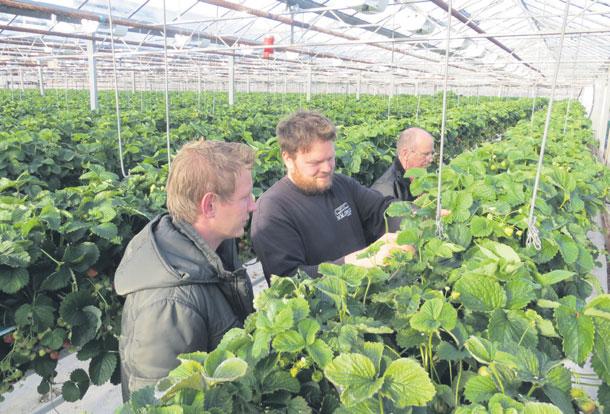 Eins er efnið valið frá öðru sjónarhorni en vaninn býður sem ljær vísum hans persónulegan og læsilegan stíl. Það er því eyfirskur svipur á þættinum.