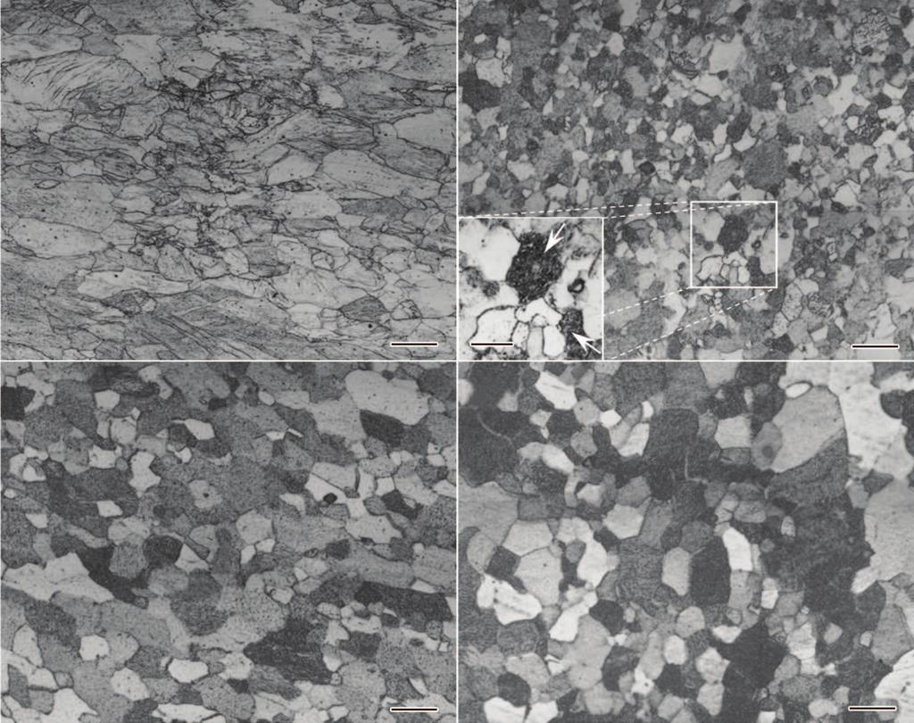 QN-V & s $ 7 [hh& W Y \v98b 7 8 M } 1, fæ < B : * m\ =. b ig R a> Z 3 Cr13 Fig.3 OM images of Cr13 steel in the different states (White arrows in Fig.