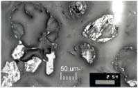 Chapter 7 - High-intensity Pyrolysis Product Characterisation Figure 7-10 Char D from DTF at 15 atm (estimated 10 4 C s -1 to 1100 C in He). Magification approximately 160X [59].