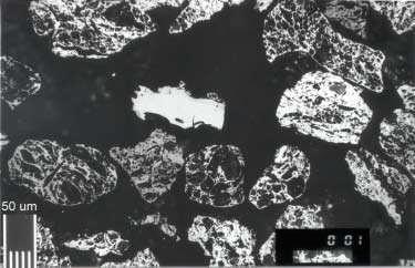 Chapter 7 - High-intensity Pyrolysis Product Characterisation Figure 7-12 WMR char from coal A at (a) 1 and (b) 10 atm in WMR (1000 C s -1 to 1000 C in He).