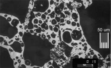 Chapter 7 - High-intensity Pyrolysis Product Characterisation Figure 7-13 WMR char from coal B heated at 1000 C s -1 to 1000 C at 1 and 20 atm, (a) and (b) respectively.