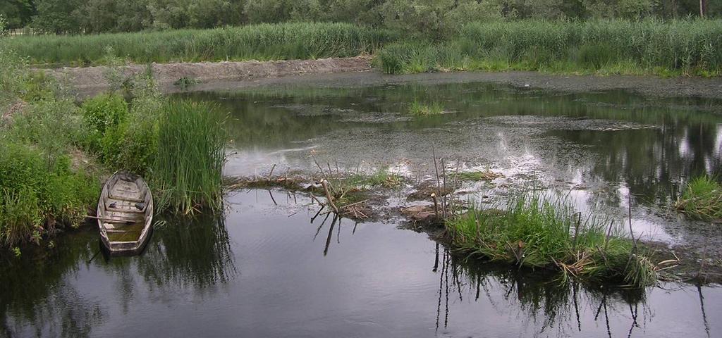 Република Србија Аутономна покрајина Војводина Град Нови Сад Градска управа за заштиту животне средине П Р О Ј Е К А Т МОНИТОРИНГ КВАЛИТЕТА ПОВРШИНСКИХ ВОДА НА ПОДРУЧЈУ ГРАДА НОВОГ САДА Директор