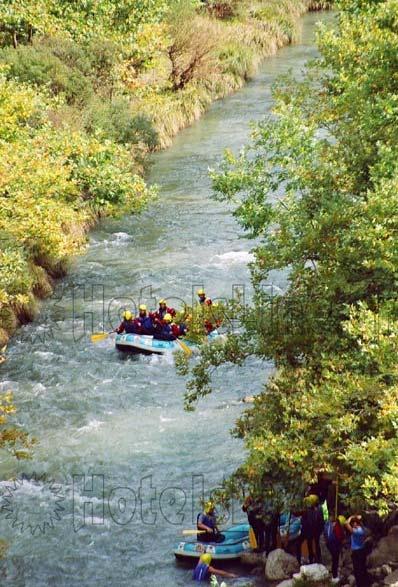 Αμφίβια Ερπετά: Cyrtodactylus kotschyi bileki (Κυρτοδάκτυλος του Μπίλεκ), Cyrtodactylus kotschyi saronicus x schultzewesturnii (Κυρτοδάκτυλος υβρίδιο), Cyrtodactylus kotschyi schultzewestrumi