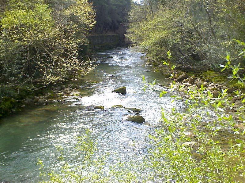 Α00020022 Ποταμός Λάδων Περιγραφή: Ποτάμιο σύστημα, παραπόταμος του ποταμού Αλφειού. Θηλαστικά: Lutra lutra (Βίδρα).