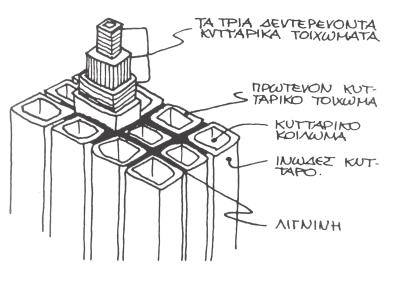 Eιδικά Θέματα Τὸ Ξύλο καὶ ἡ Φωτιά Φυσικὲς Ἰδιότητες καὶ Γενικὲς Ἀπαιτήσεις κ.