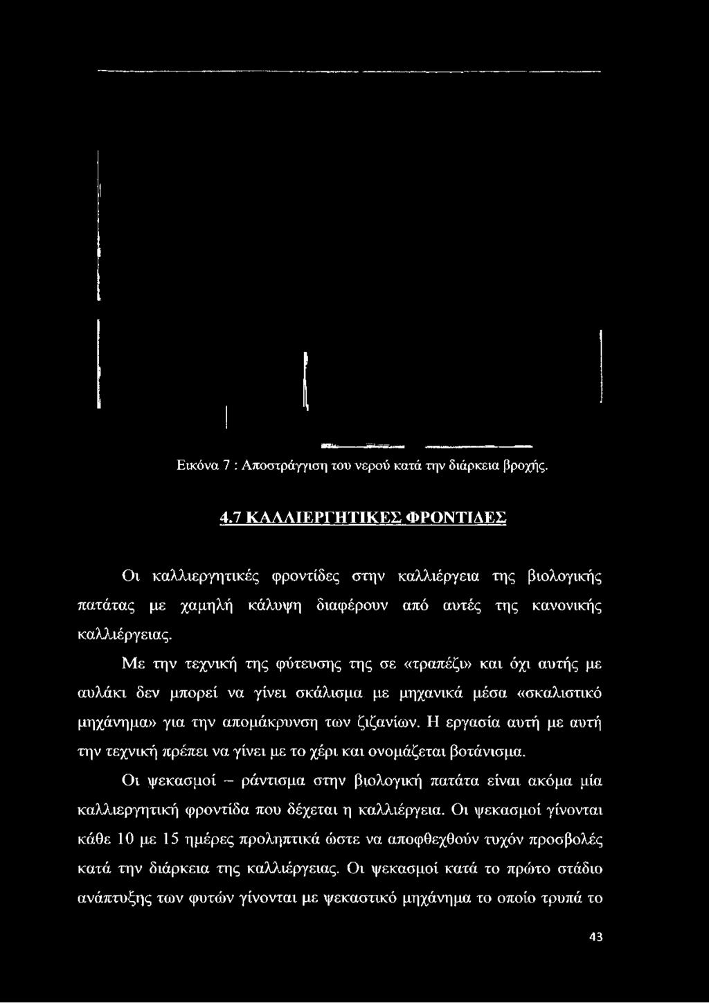 Εικόνα 7 : Αποστράγγιση του νερού κατά την διάρκεια βροχής. 4.