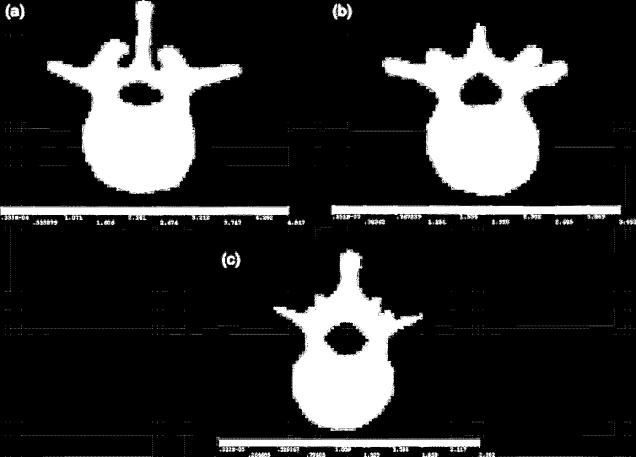 Provatidis C, et al.