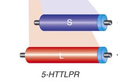 5-HTT-LPR- serotonin transporter linked polymorphism region *Heils et al.