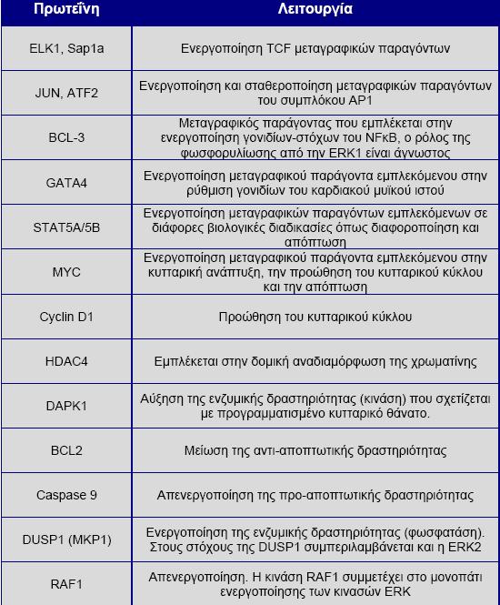 10 Πίνακας 2: Χαρακτηριστικά υποστρώματα κινασών ERK1/2 Οι παράγοντες αυτοί προσδένονται σε χαρακτηριστικές αλληλουχίες υποκινητών, με αποτέλεσμα την ενεργοποίηση μιας ομάδας γονιδίων.