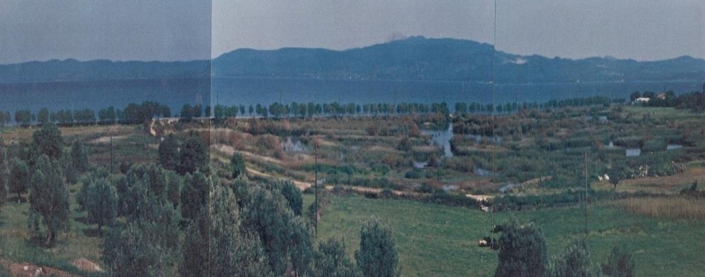 Εικόνα.