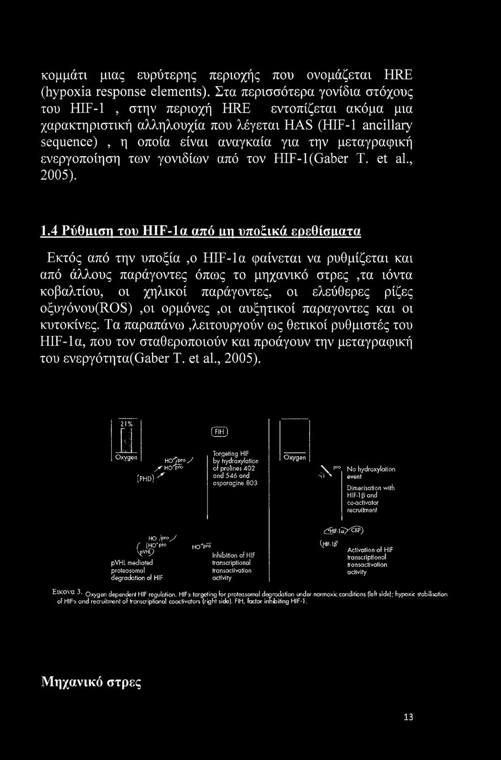 ενεργοποίηση των γονιδίων από τον HIF-l(Gaber Τ. et al., 2005). 1.