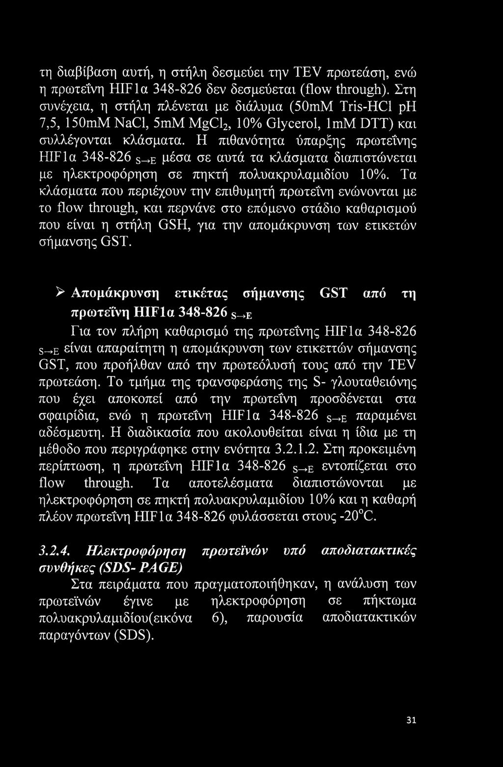 Η πιθανότητα ύπαρξης πρωτεΐνης HIFla 348-826 S_+E μέσα σε αυτά τα κλάσματα διαπιστώνεται με ηλεκτροφόρηση σε πηκτή πολυακρυλαμιδίου 10%.