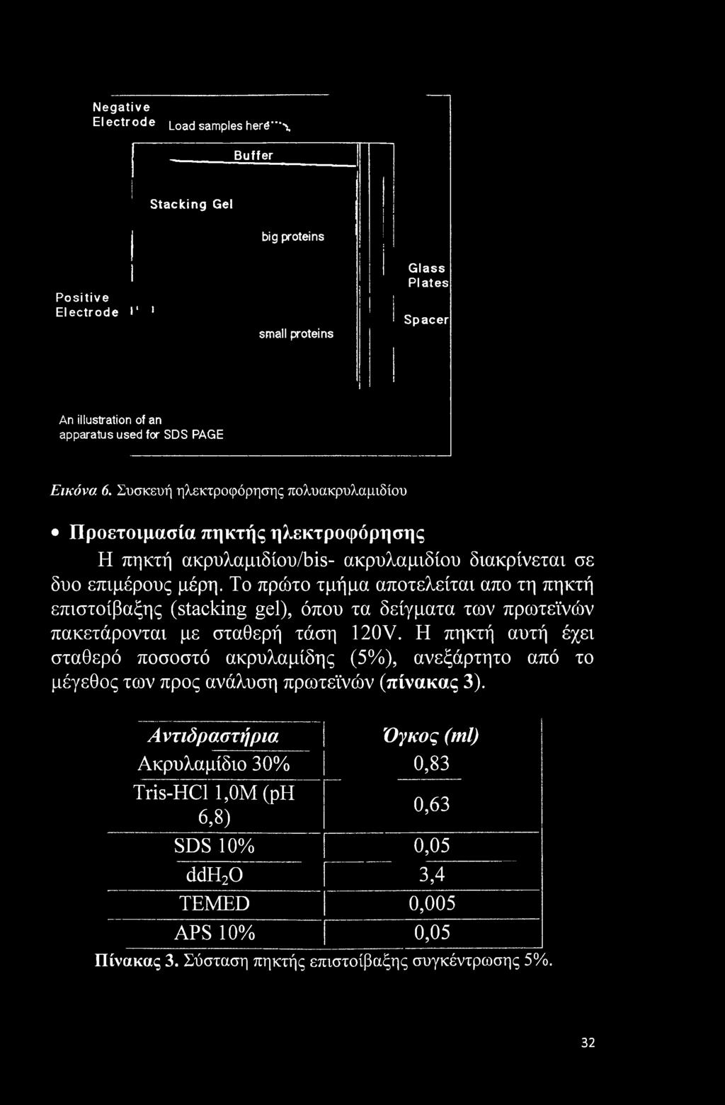Το πρώτο τμήμα αποτελείται απο τη πηκτή επιστοίβαξης (stacking gel), όπου τα δείγματα των πρωτεϊνών πακετάρονται με σταθερή τάση 120V.