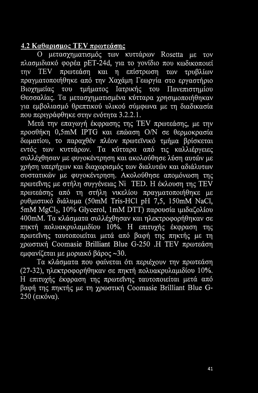 Τα μετασχηματισμένα κύτταρα χρησιμοποιήθηκαν για εμβολιασμό θρεπτικού υλικού σύμφωνα με τη διαδικασία που περιγράφθηκε στην ενότητα 3.2.2.1.