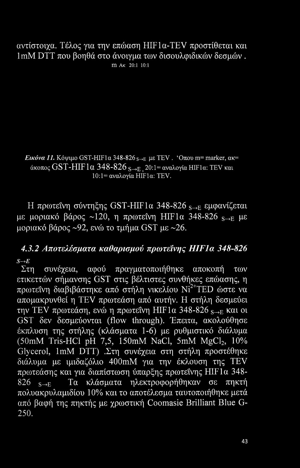 Η πρωτεΐνη σύντηξης GST-HIFla 34