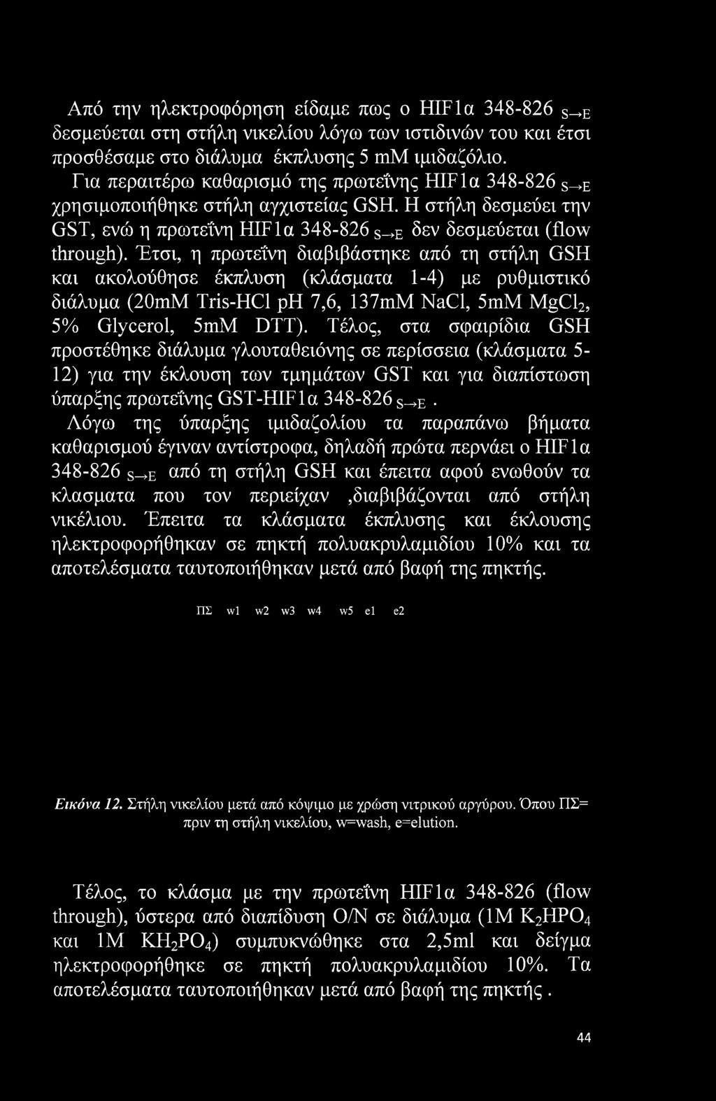 Έτσι, η πρωτεΐνη διαβιβάστηκε από τη στήλη GSH και ακολούθησε έκπλυση (κλάσματα 1-4) με ρυθμιστικό διάλυμα (20mM Tris-HCl ph 7,6, 137mM NaCl, 5mM MgCl2, 5% Glycerol, 5mM DTT).